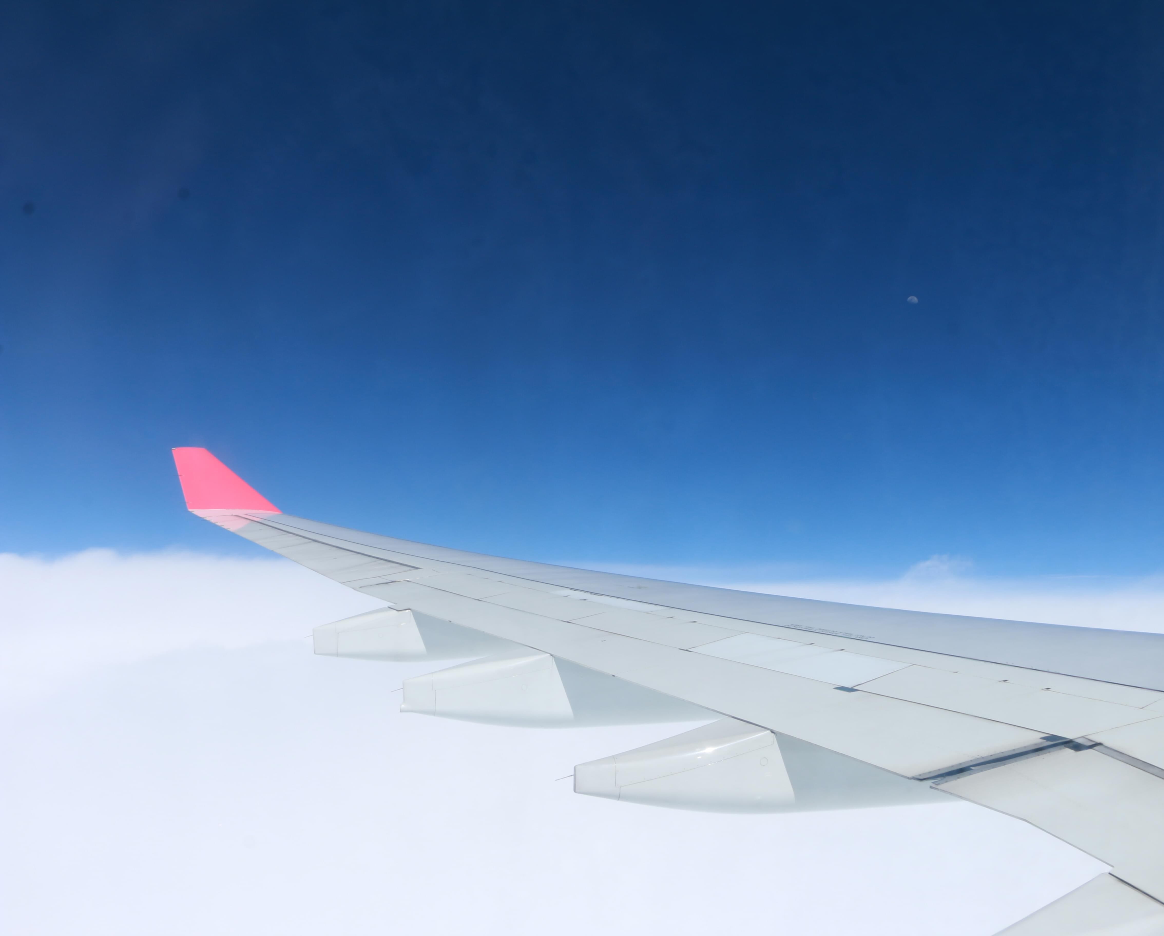 看，是月亮哦（右上角）